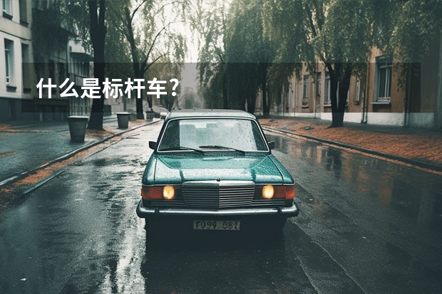 什么是标杆车?