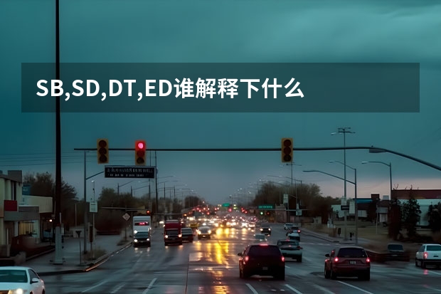 SB,SD,DT,ED谁解释下什么意思？