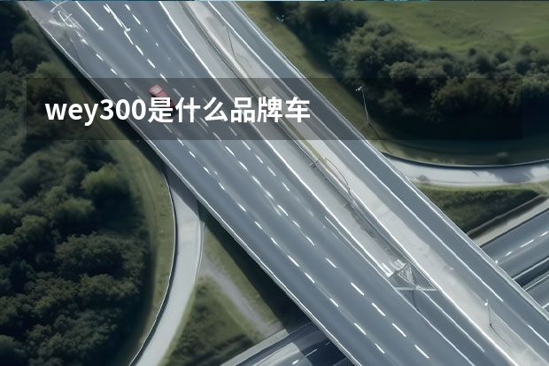 wey300是什么品牌车