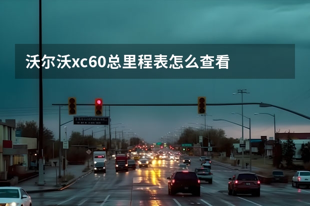 沃尔沃xc60总里程表怎么查看