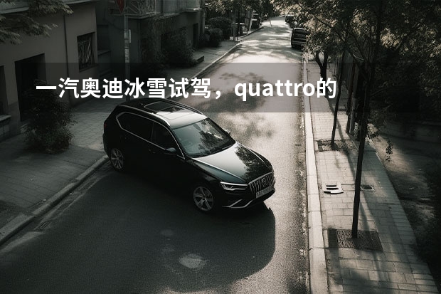 一汽奥迪冰雪试驾，quattro的魅力你懂吗？