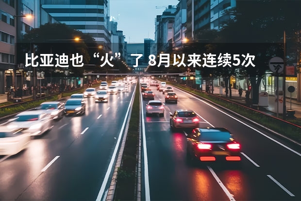 比亚迪也“火”了 8月以来连续5次起火 这次是元EV“自燃”（树大招风，315曝光汽车行业水军，7成在“黑”比亚迪？）