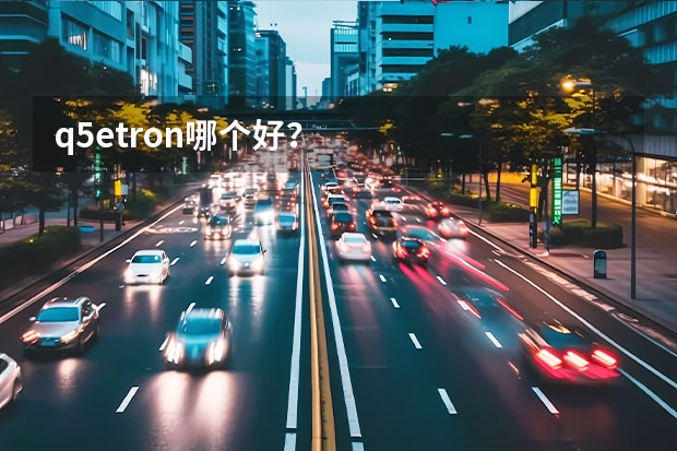 q5etron哪个好？