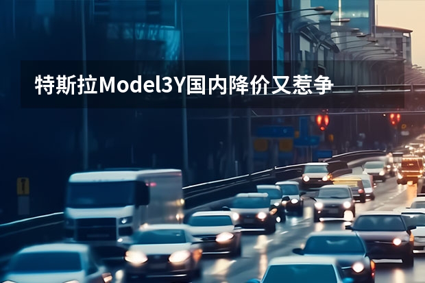 特斯拉Model3/Y国内降价又惹争议，引发大批老车主维权，其中有哪些看点？