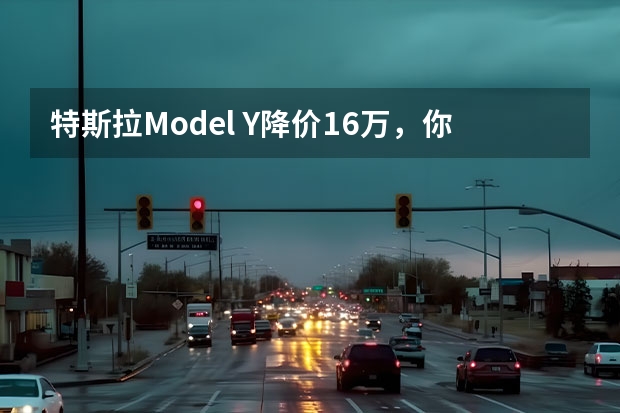 特斯拉Model Y降价16万，你会选择入手这款车吗？