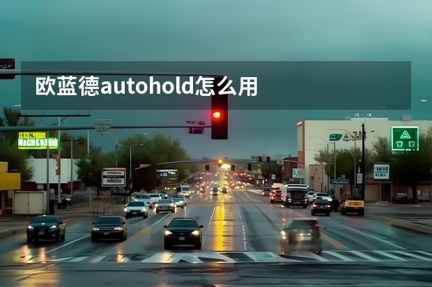 欧蓝德autohold怎么用