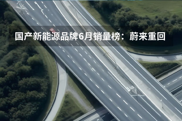 国产新能源品牌6月销量榜：蔚来重回万辆，理想破3万大关 汽车销量排行榜2023年4月