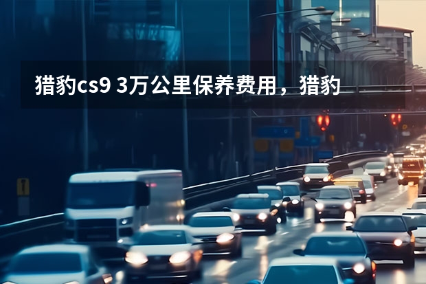 猎豹cs9 3万公里保养费用，猎豹cs9 30000公里保养项目（猎豹cs9 6万公里保养费用）